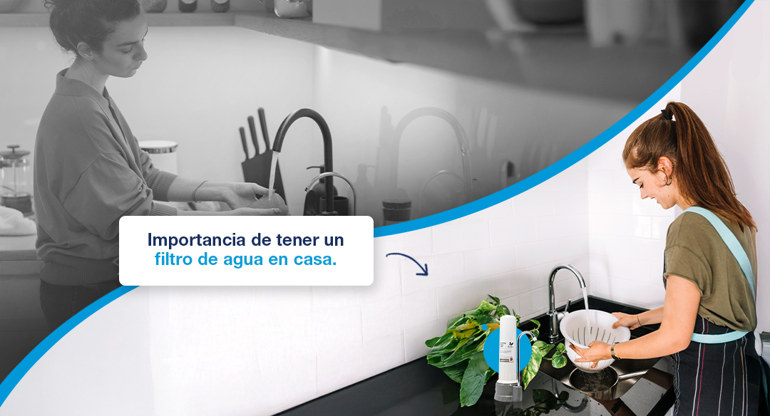 Descubre la importancia de contar con un Filtro de agua en casa para cocinar y tomar agua saludable.